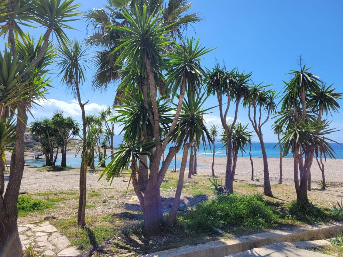 Paradise *